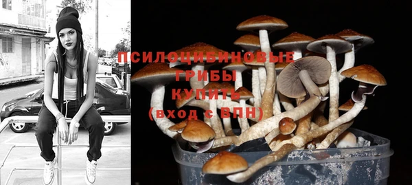 стаф Абдулино
