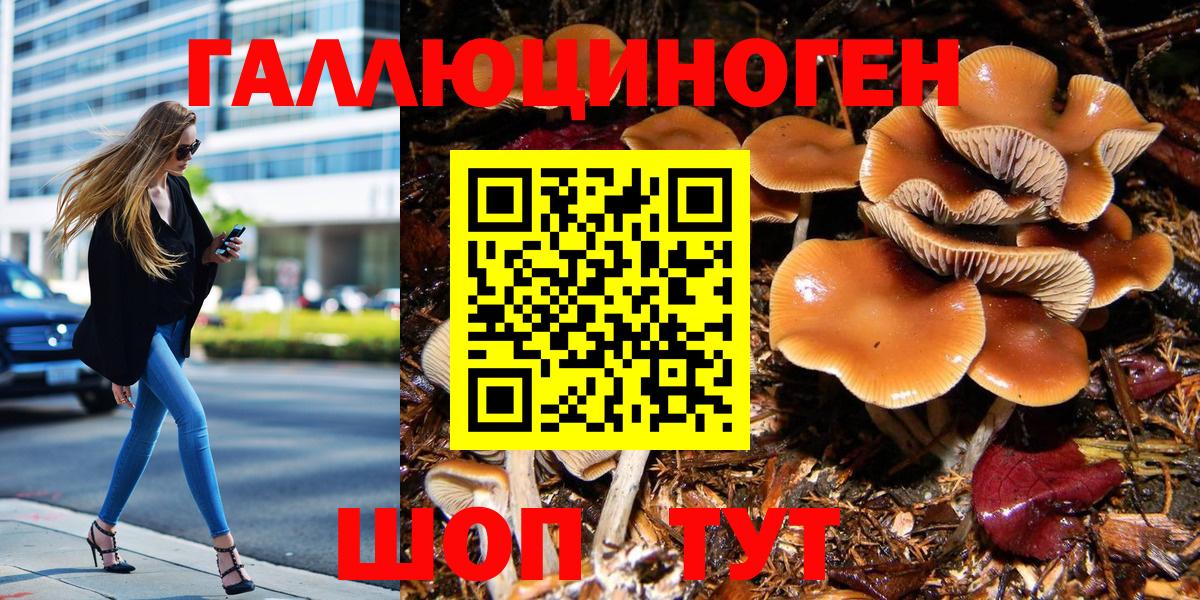 Галлюциногенные грибы Magic Shrooms Курчатов