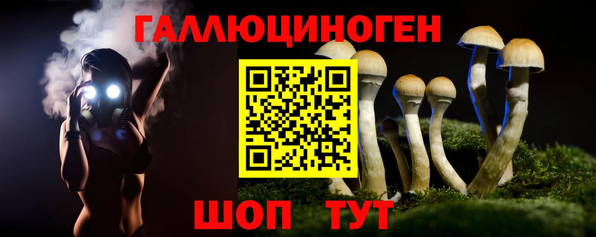 Галлюциногенные грибы Cubensis  где купить   Курчатов  Вход с VPN  Псилоцибиновые грибы мухоморы 